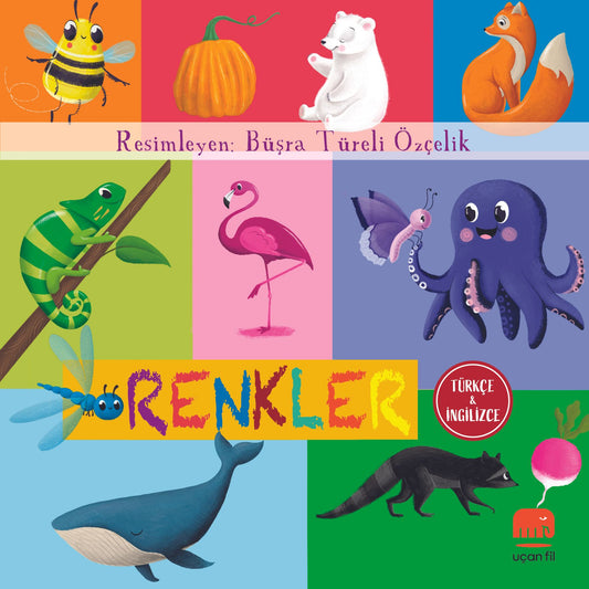 Renkler (Board Book) - Uçan Fil Yayınları Kitap