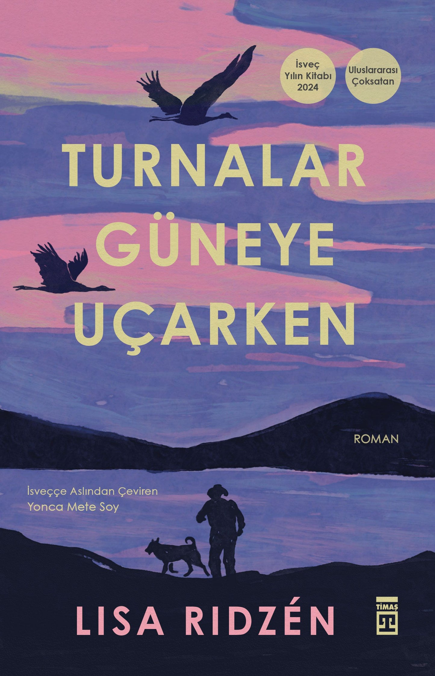 Turnalar Güneye Uçarken - Timaş Yayınları Kitap