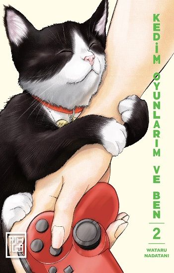 Kedim Oyunlarım ve Ben 2 - Athica Yayınları Kitap
