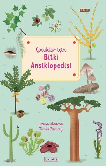 Çocuklar İçin Bitki Ansiklopedisi (Ciltli) - Ketebe Yayınları Kitap
