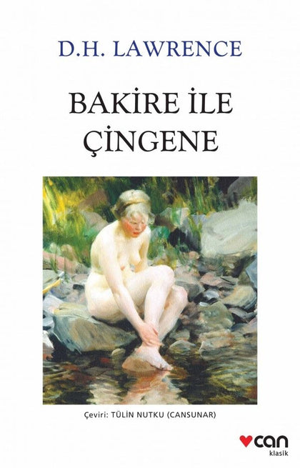 Bakire ile Çingene - Can Yayınları Kitap