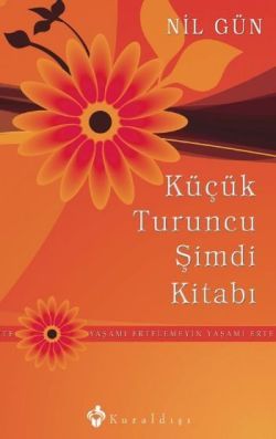 Küçük Turuncu Şimdi Kitabı Nil Gün Türkçe kitap kapağı