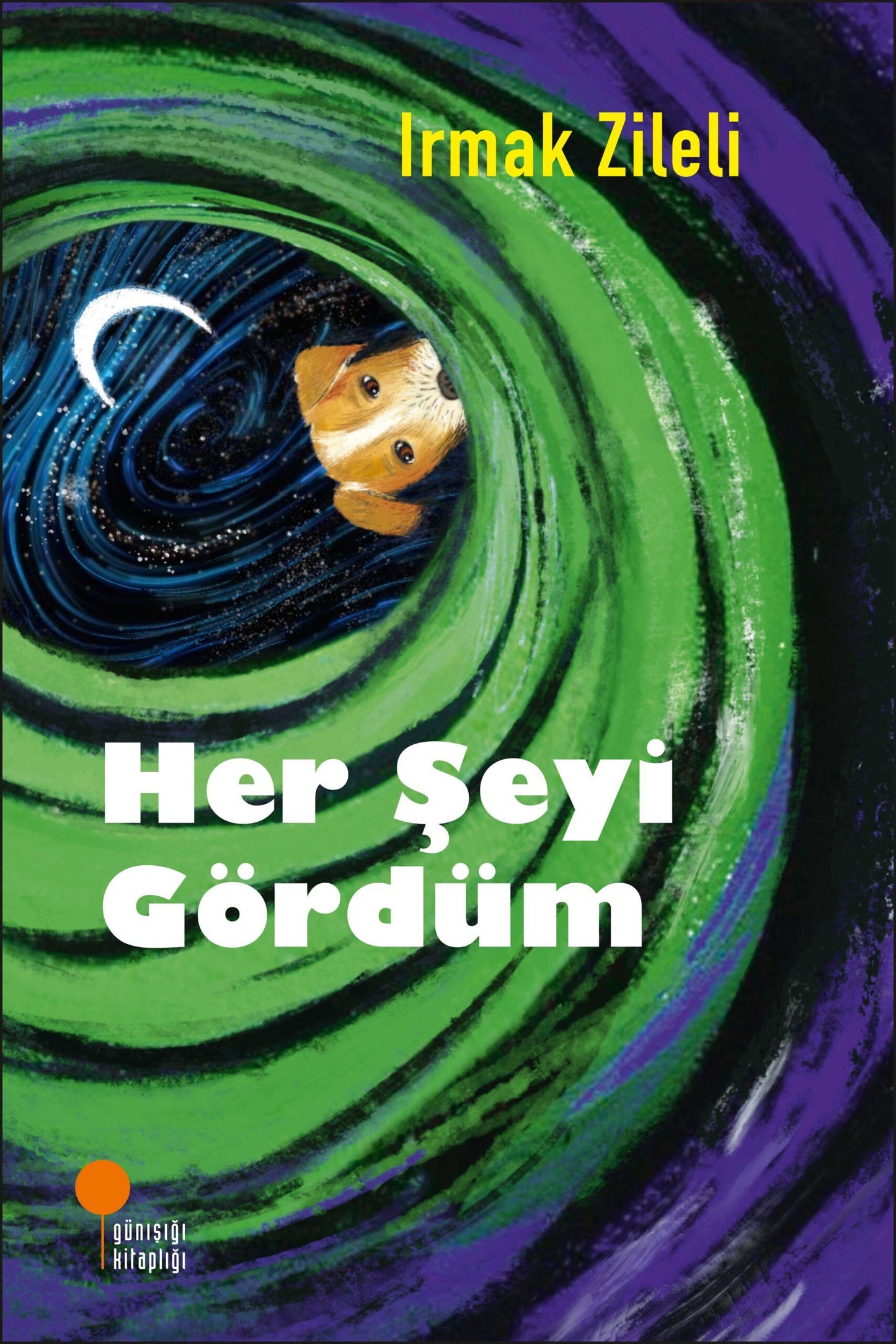 Her Şeyi Gördüm - Günışığı Kitaplığı Kitap