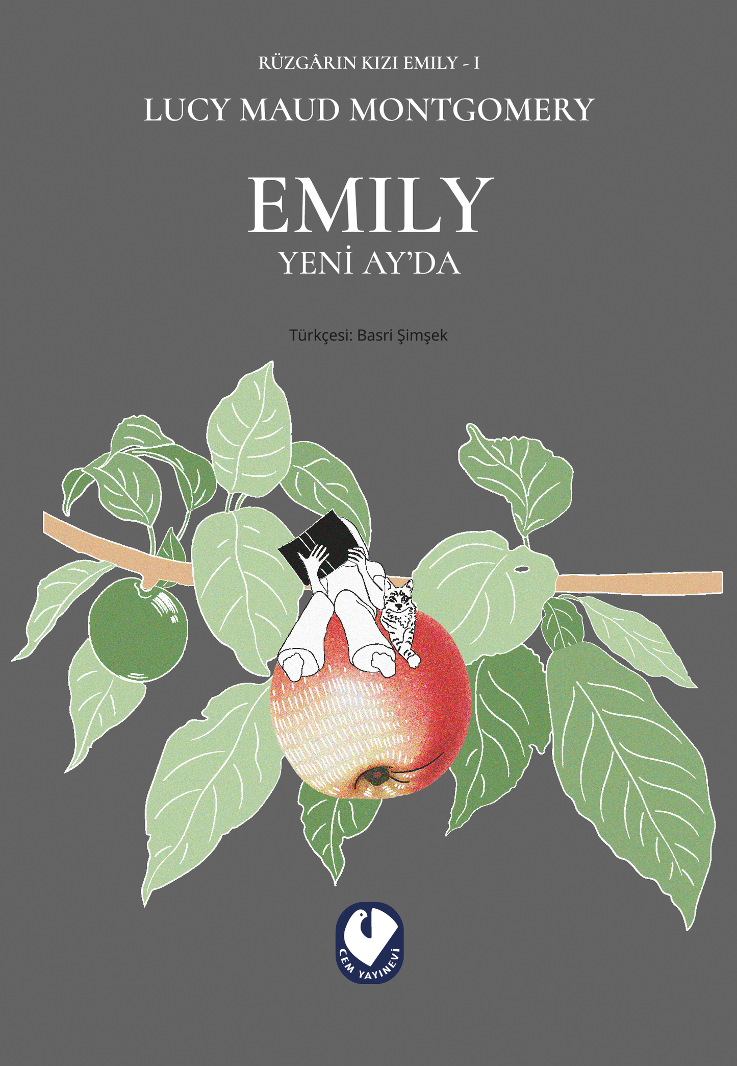 Rüzgarın Kızı Emıly 1 - Emıly Yeni Ay'da - Cem Yayınevi Kitap