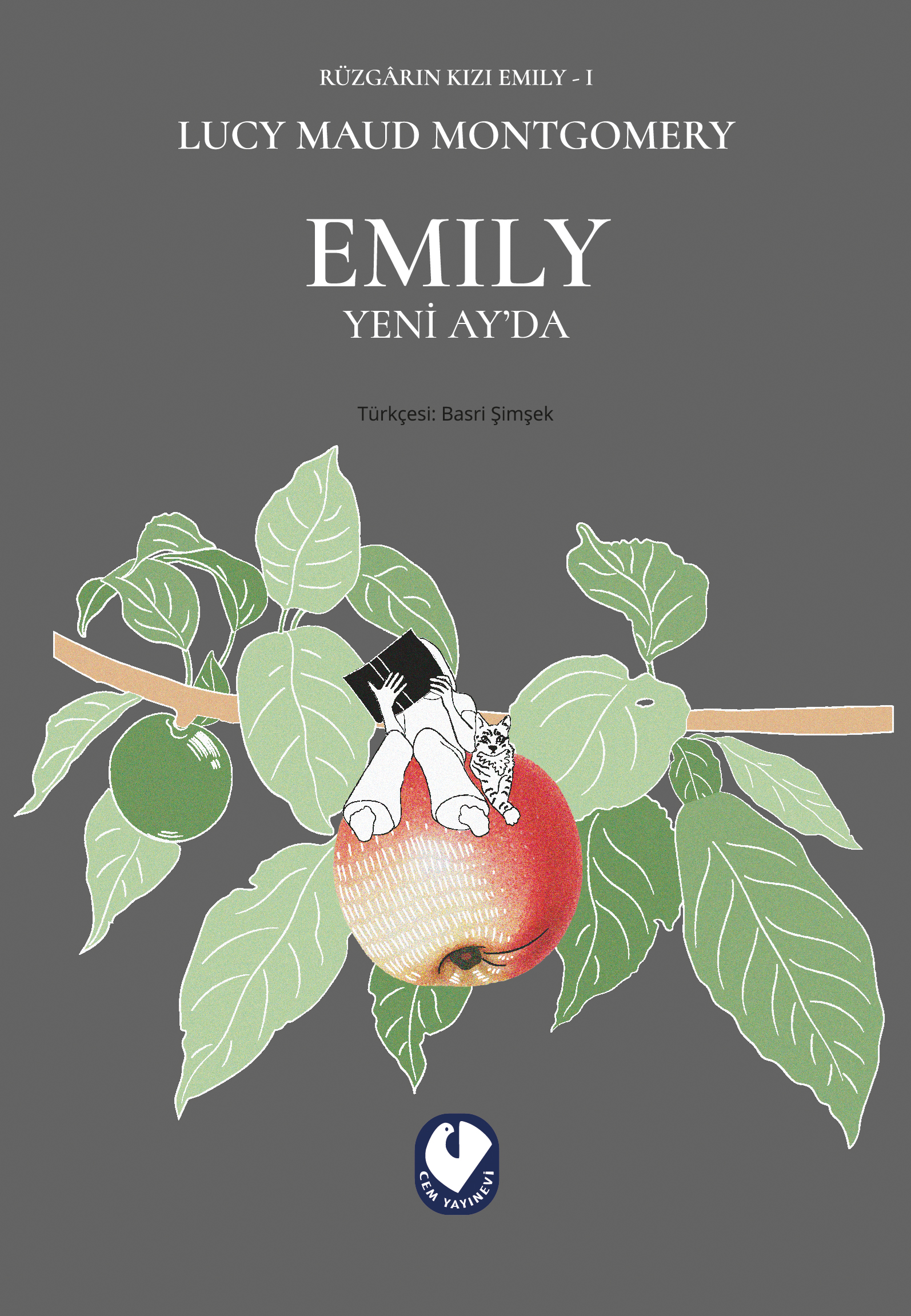 Rüzgarın Kızı Emıly 1 - Emıly Yeni Ay'da - Cem Yayınevi Kitap