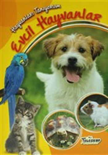 Hayvanları Tanıyorum - Evcil Hayvanlar - Teleskop Popüler Bilim Kitap