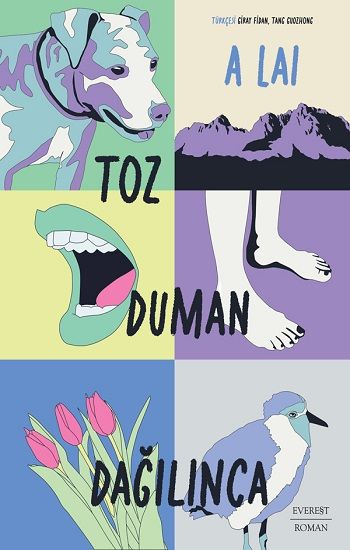 Toz Duman Dağılınca - Everest Yayınları Kitap