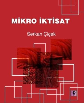 Mikro İktisat - Efil Yayınevi Kitap