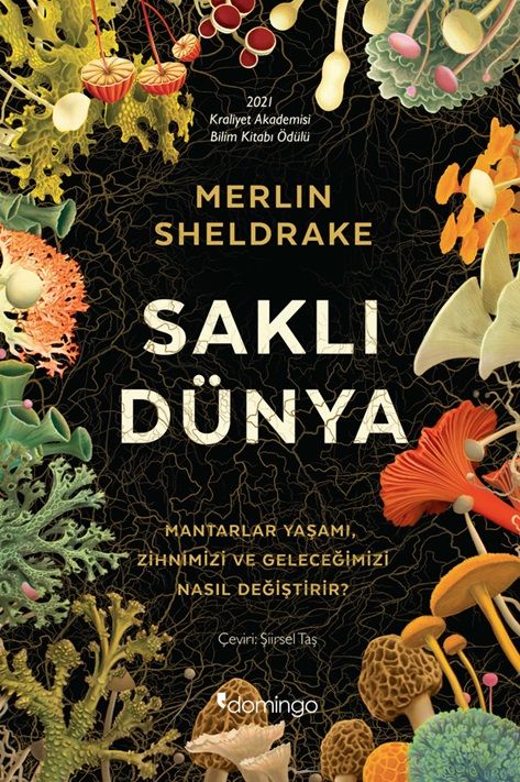 Saklı Dünya - Domingo Yayınevi Kitap