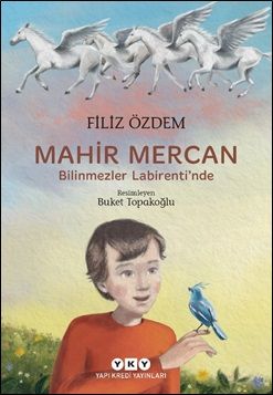 Mahir Mercan - Bilinmezler Labirenti’nde - Yapı Kredi Yayınları Kitap