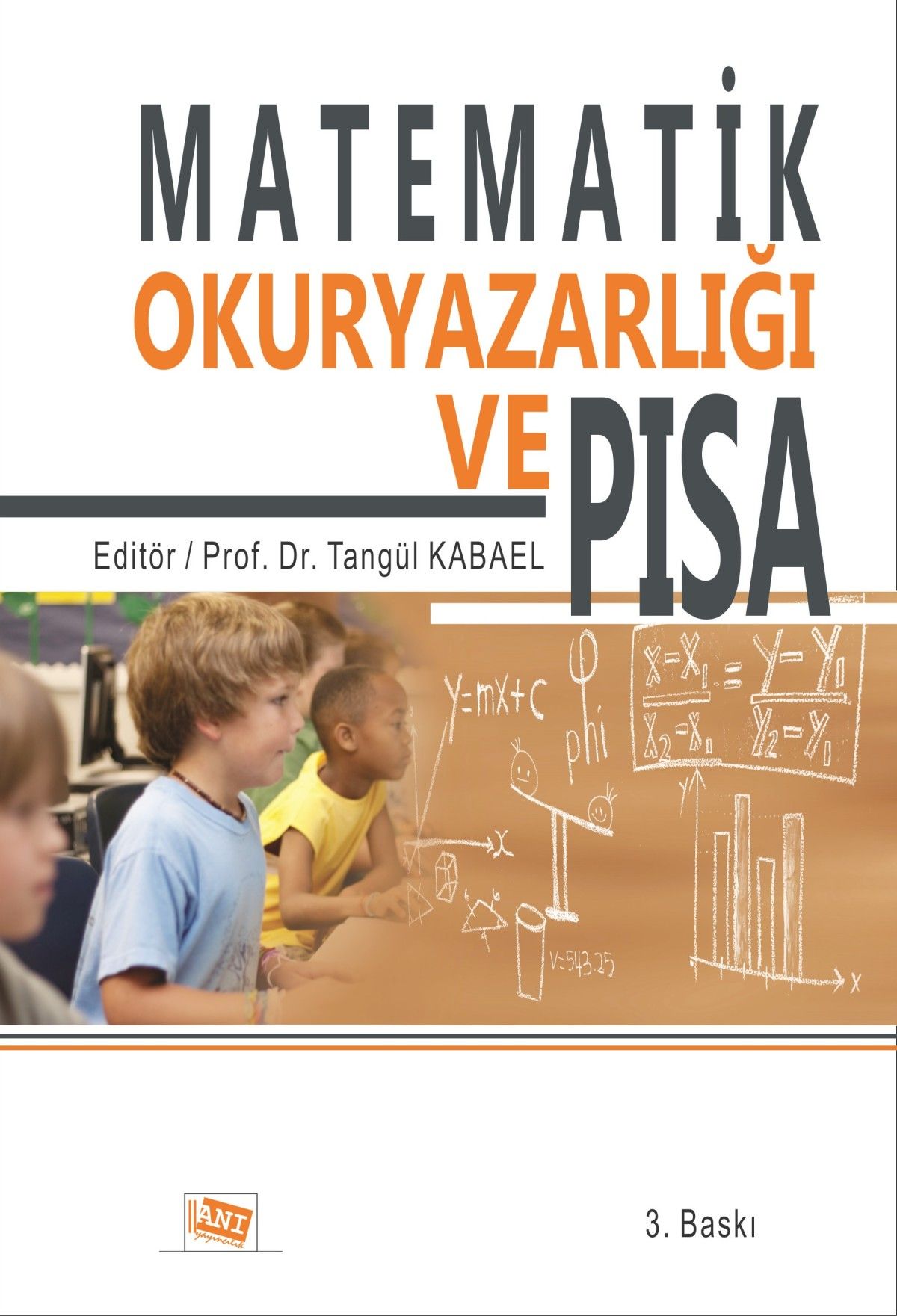 Matematik Okuryazarlığı ve Pısa - Anı Yayıncılık Kitap