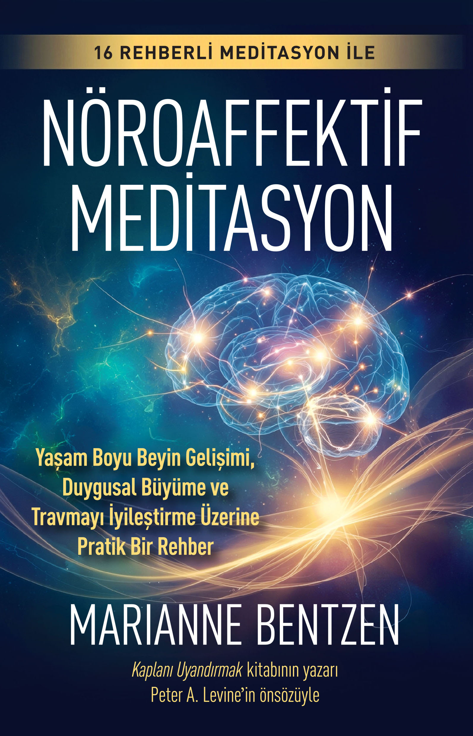 Nöroaffektif Meditasyon - Butik Yayınları Kitap