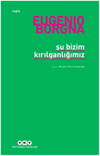 Şu Bizim Kırılganlığımız - Yapı Kredi Yayınları Kitap