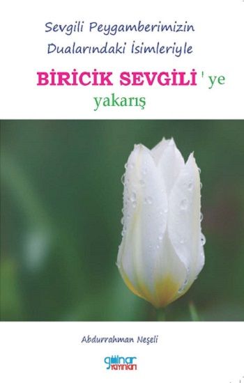 Biricik Sevgili - Gülnar Yayınları Kitap