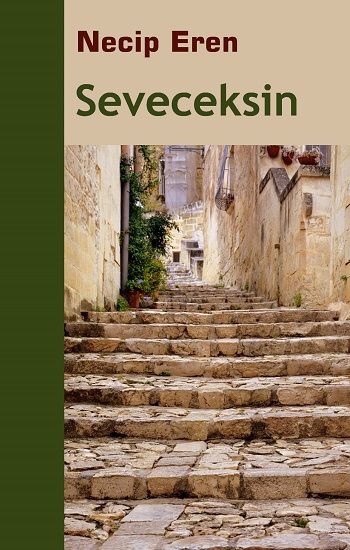 Seveceksin - Sınırsız Kitap Kitap