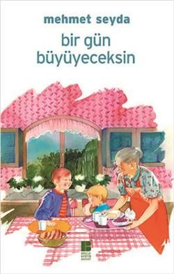 Bir Gün Büyüyeceksin - Mehmet Seyda, Hikayeler Türkçe kitap kapağı