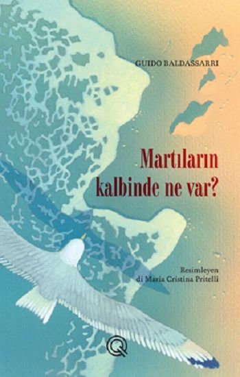 Martıların Kalbinde Ne Var? - Q Yayınları Kitap