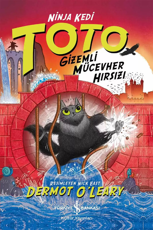 Ninja Kedi Toto – Gizemli Mücevher Hırsızı - İş Bankası Kültür Yayınları Kitap