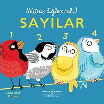 Sayılar – Müthiş Eğlenceli! (Ciltli) - İş Bankası Kültür Yayınları Kitap