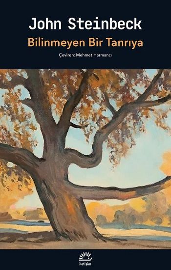 Bilinmeyen Bir Tanrıya - İletişim Yayınları Kitap