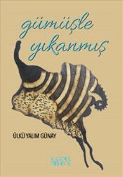 Gümüşle Yıkanmış - Bencekitap Kitap