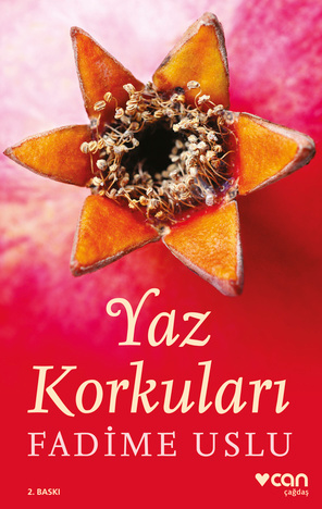 Yaz Korkuları - Can Yayınları Kitap