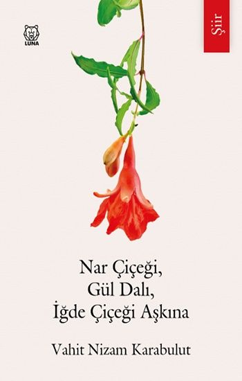 Nar Çiçeği, Gül Dalı, İğde Çiçeği Aşkına - Luna Yayınları Kitap