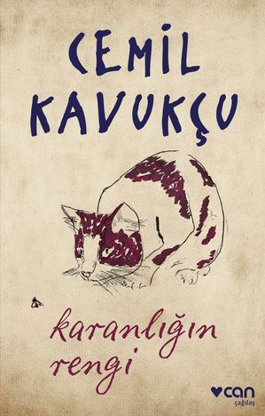 Karanlığın Rengi - Can Yayınları Kitap