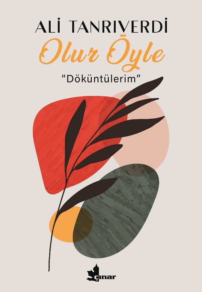 Olur Öyle  ‘‘Döküntülerim’’ - Çınar Yayınları Kitap