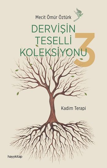 Dervişin Teselli Koleksiyonu 3 - Hayykitap Kitap