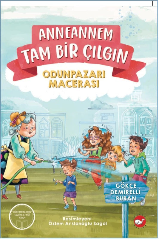 Anneannem Tam Bir Çılgın - Beyaz Balina Yayınları Kitap