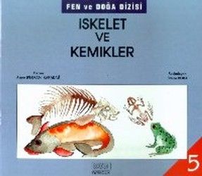 İskelet ve Kemikler - Kök Yayınevi Kitap