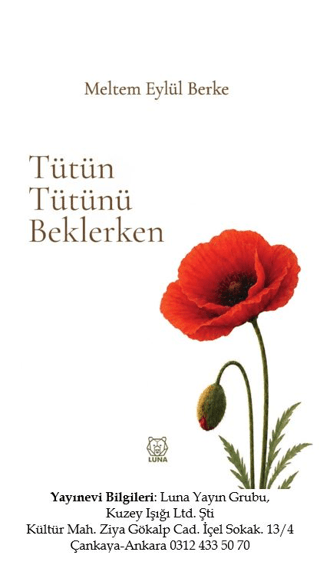 Tütün Tütünü Beklerken - Luna Yayınları Kitap