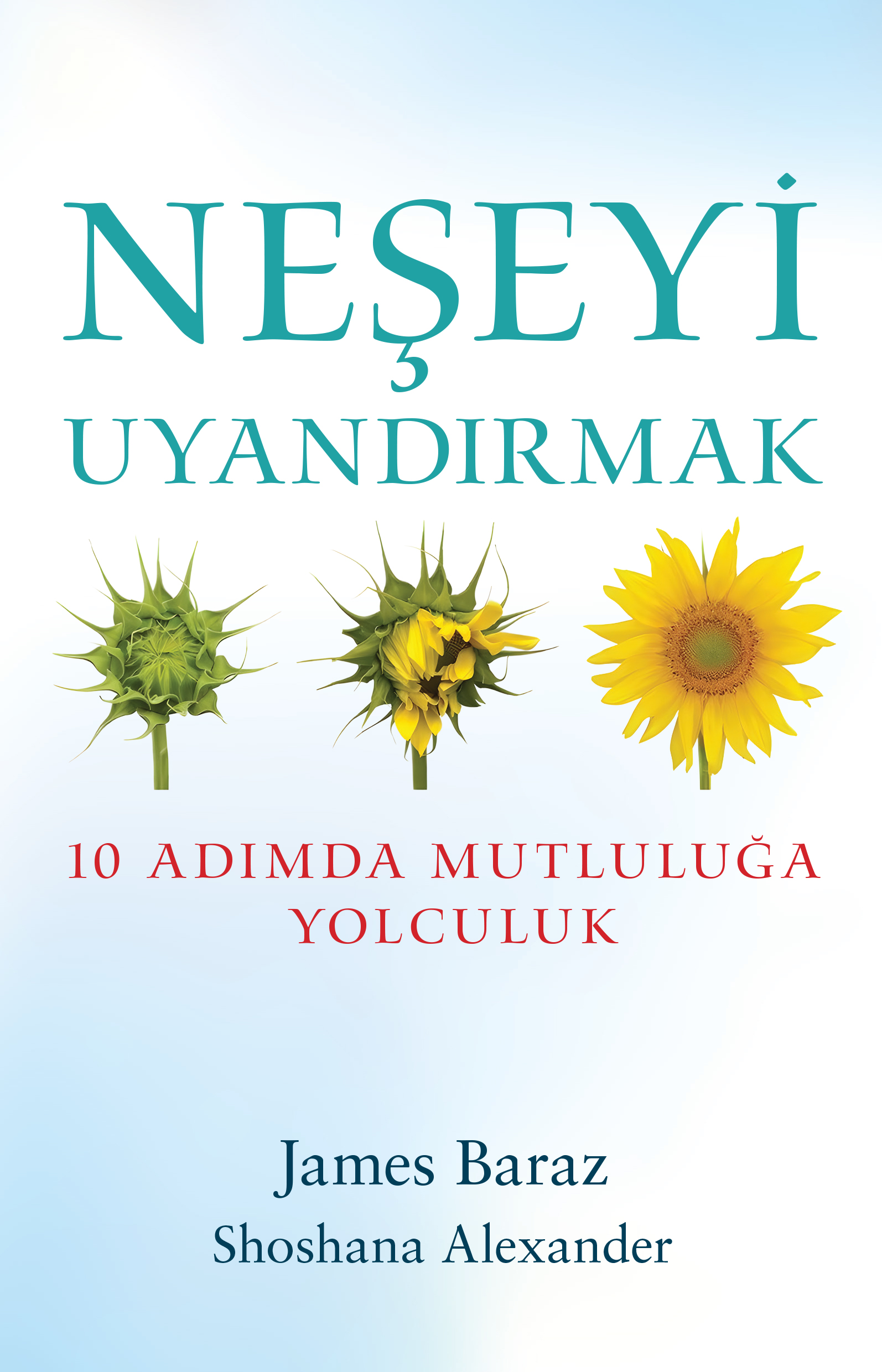 Neşeyi Uyandırmak - Butik Yayınları Kitap