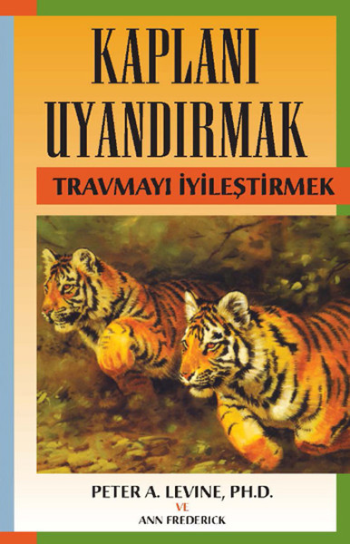 Kaplanı Uyandırmak - Butik Yayınları Kitap