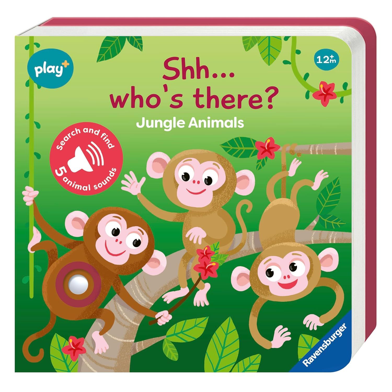 Ravensburger Play+ Shh...Who's There: Jungle Animals - My First Look and Find - Ravensburger Kitap
