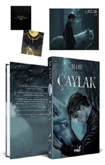 Çaylak (Ciltli) - İndigo Kitap Kitap