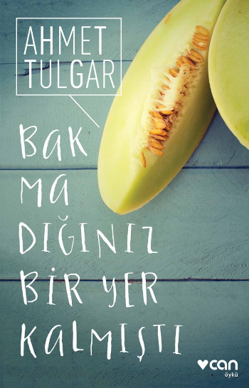 Bakmadığınız Bir Yer Kalmıştı - Can Yayınları Kitap
