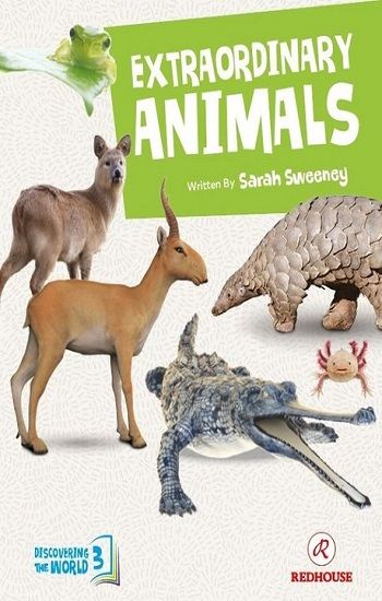 Extraordinary Animals - Redhouse Yayınları Kitap