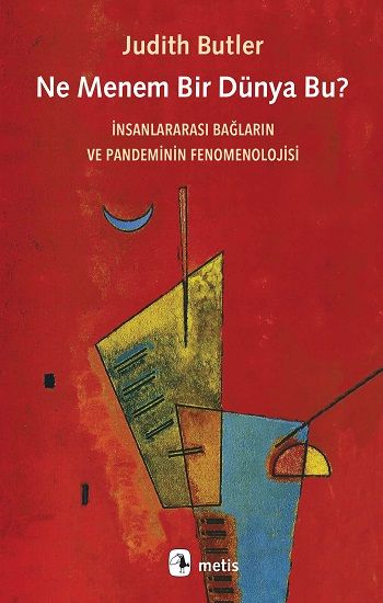 Ne Menem Bir Dünya Bu? - Metis Yayınları Kitap