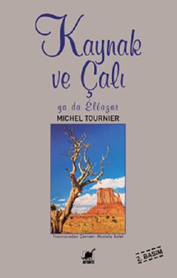 Kaynak ve Çalı - Ayrıntı Yayınları Kitap