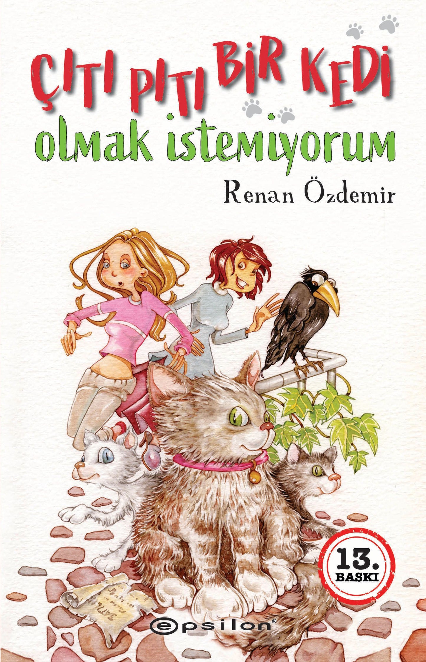 Çıtı Pıtı Bir Kedi Olmak İstemiyorum - Epsilon Özel Ürün Kitap