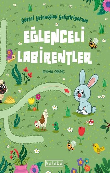 Eğlenceli Labirentler - Ketebe Yayınları Kitap