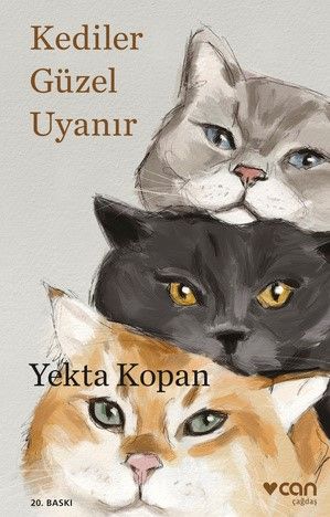 Kediler Güzel Uyanır - Can Yayınları Kitap