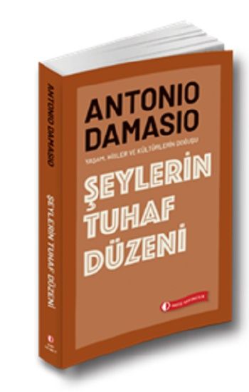 Şeylerin Tuhaf Düzeni - ODTÜ Geliştirme Vakfı Yayıncılık Kitap