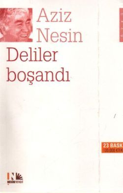 Deliler Boşandı Aziz Nesin Türkçe kitap kapağı