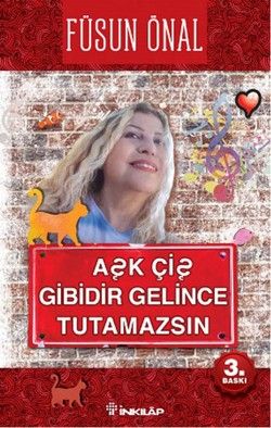 Aşk Çiş Gibidir Gelince Tutamazsın - İnkılap Kitabevi Kitap