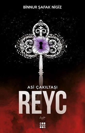 Reyc - Asi Çakıltaşı Serisi 2 - Dokuz Yayınları Kitap
