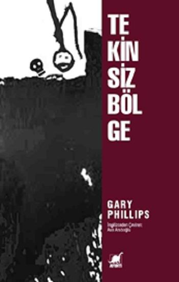 Tekinsiz Bölge - Ayrıntı Yayınları Kitap