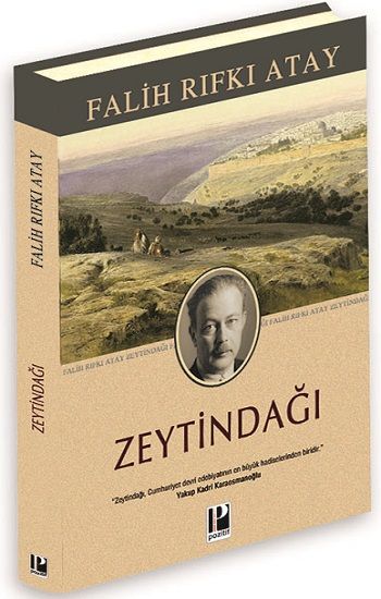 Zeytindağı (Ciltli-Özel Baskı) - Pozitif Yayınları Kitap